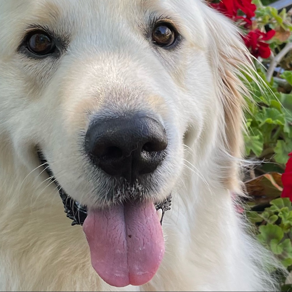 Meet your Posher, Terrie